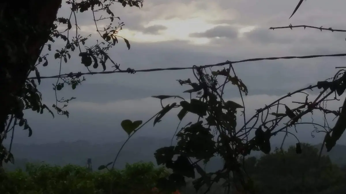 Paso de la onda tropical número 11 dejará intensas lluvias en Veracruz